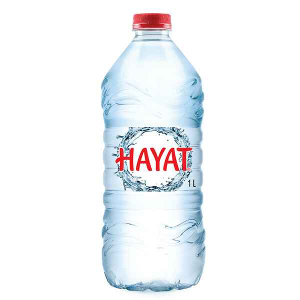 Hayat Su 1 lt